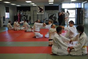 Traditional Japanese Jujutsu