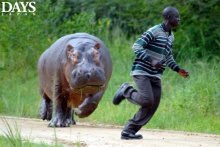 t02200147_0640042911941568328