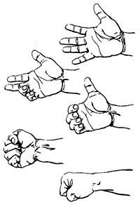 Correct way to make a fist